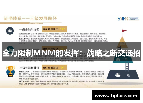 全力限制MNM的发挥：战略之断交选招